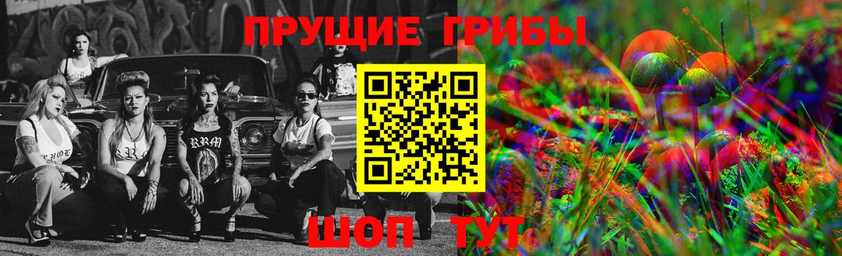 Усть-Джегута  Псилоцибиновые грибы Magic Shrooms  Вход с VPN 