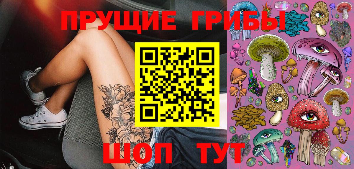 Псилоцибиновые грибы Psilocybe Усть-Джегута